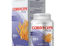 Cordyceps Pulse Hrvatska